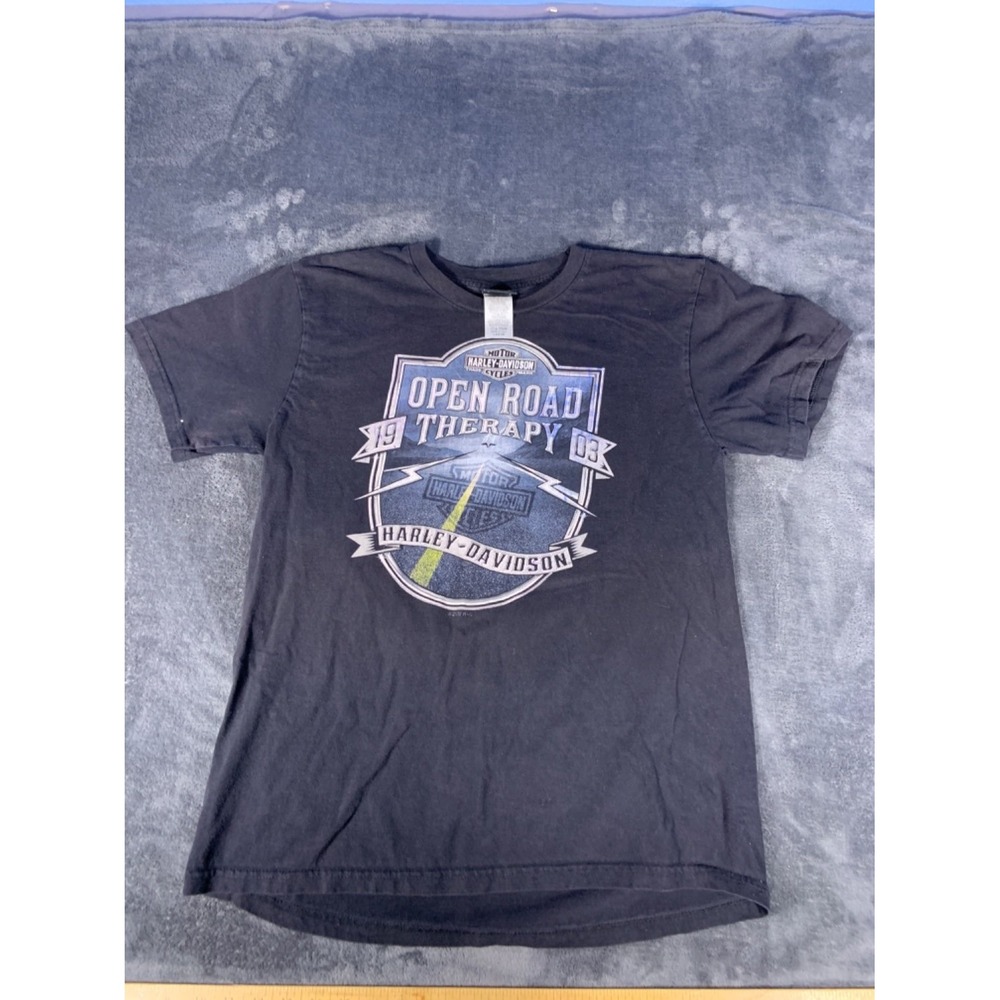 Harley-Davidson Open Road Therapy Denali Wasilla Alaska Men's T-Shirt L Black